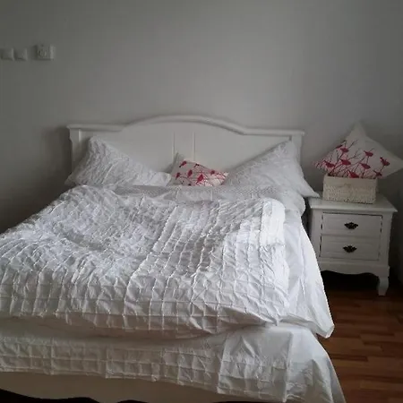 Apartamento Piata Dorobanti Renovated Open Space